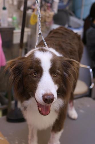 20230803ソイくん